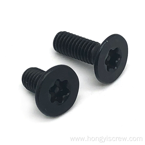 Stainless steel Black Torx Short Head Screws